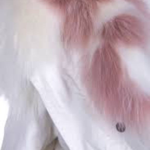 Mr & Mrs italy - Picture 7 of 7